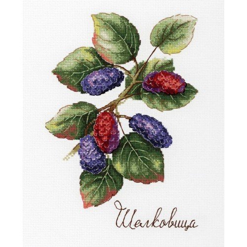 MP Studia - Nature gifts. Mulberry