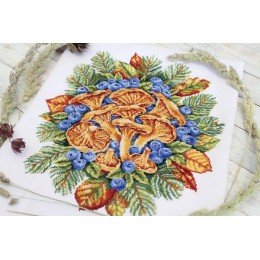 MP Studia - Forest treasures