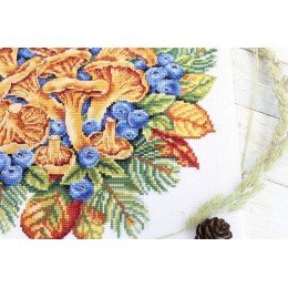 MP Studia - Forest treasures