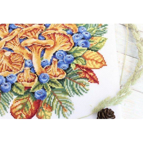 MP Studia - Forest treasures