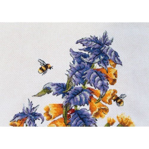 MP Studia - Melampyrum nemorosum