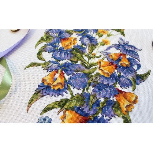 MP Studia - Melampyrum nemorosum