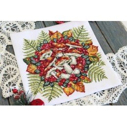 MP Studia - Along forest paths