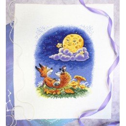 MP Studia - Night conversations