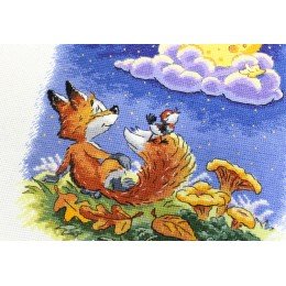 MP Studia - Night conversations