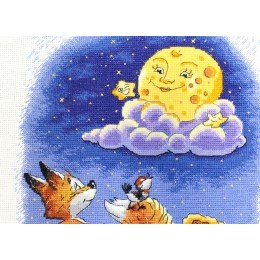 MP Studia - Night conversations