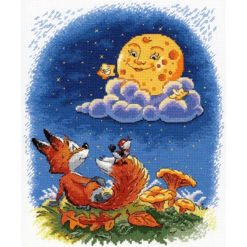 MP Studia - Night conversations