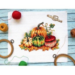MP Studia - Colorful pumpkins