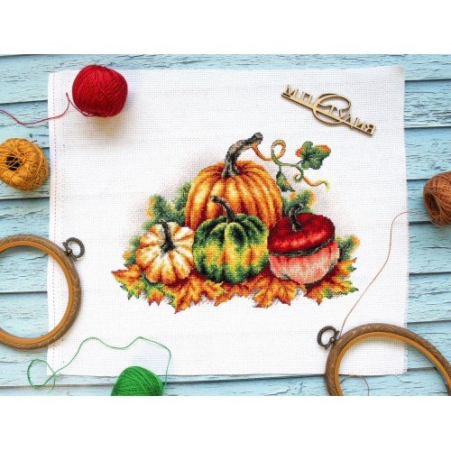 MP Studia - Colorful pumpkins