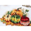 MP Studia - Colorful pumpkins