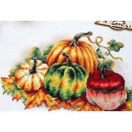 MP Studia - Colorful pumpkins