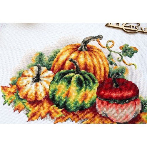 MP Studia - Colorful pumpkins