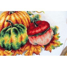 MP Studia - Colorful pumpkins