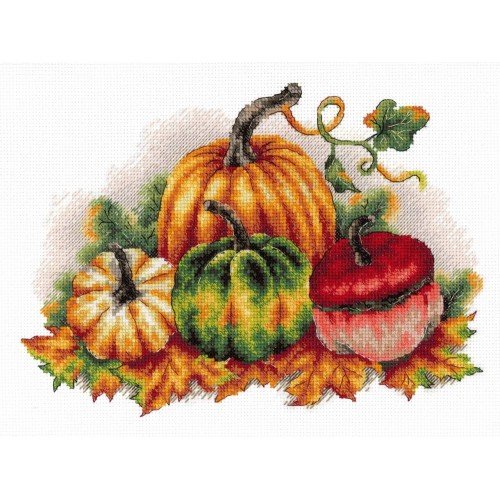 MP Studia - Colorful pumpkins