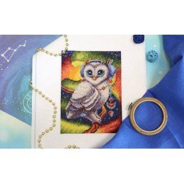 MP Studia - In the northern area