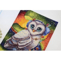 MP Studia - In the northern area