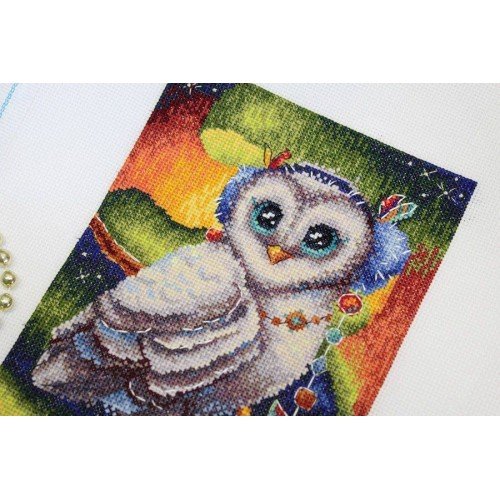 MP Studia - In the northern area