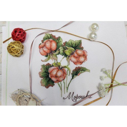 MP Studia - Gifts of nature. Cloudberry