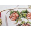 MP Studia - Gifts of nature. Cloudberry