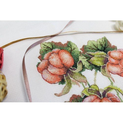MP Studia - Gifts of nature. Cloudberry