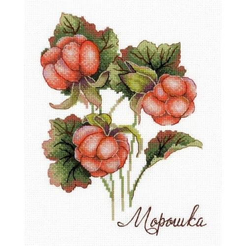 MP Studia - Gifts of nature. Cloudberry