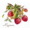 MP Studia - Gifts of nature. Raspberries