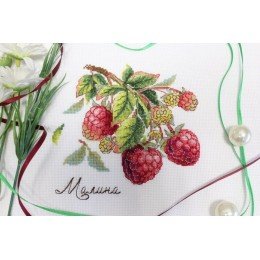 MP Studia - Gifts of nature. Raspberries