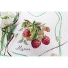MP Studia - Gifts of nature. Raspberries