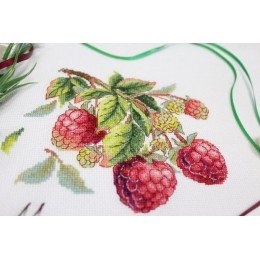 MP Studia - Gifts of nature. Raspberries