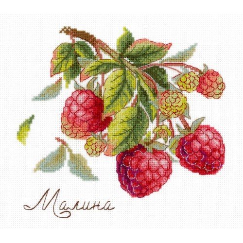 MP Studia - Gifts of nature. Raspberries