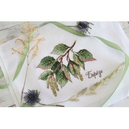 MP Studia - Gifts of nature. Birch