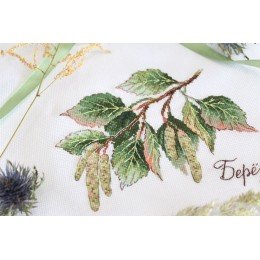 MP Studia - Gifts of nature. Birch