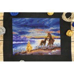 MP Studia - Summer night