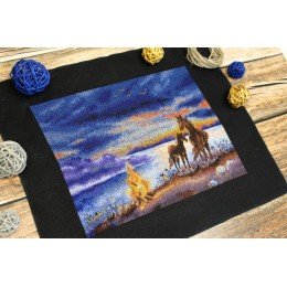 MP Studia - Summer night