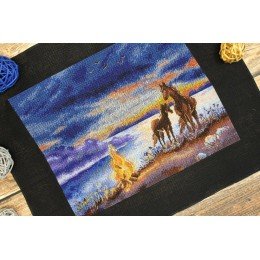 MP Studia - Summer night