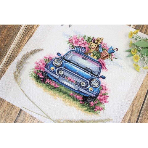 MP Studia - Outdoor recreation