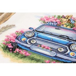 MP Studia - Outdoor recreation