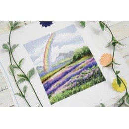 MP Studia - After the rain