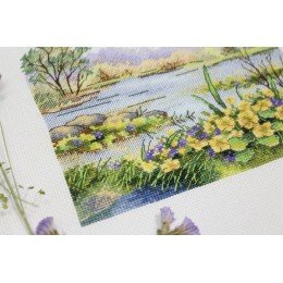 MP Studia - Forest pond