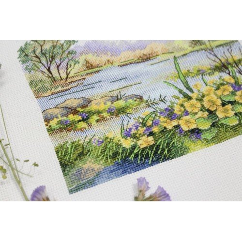 MP Studia - Forest pond