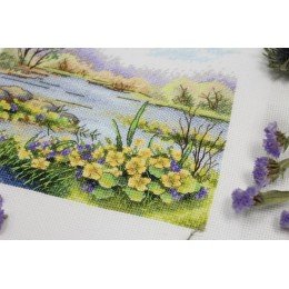 MP Studia - Forest pond