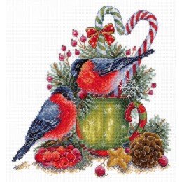 MP Studia - Winter talking