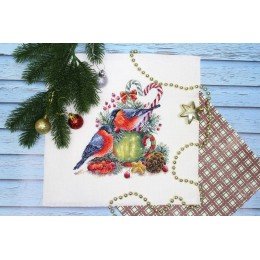 MP Studia - Winter talking