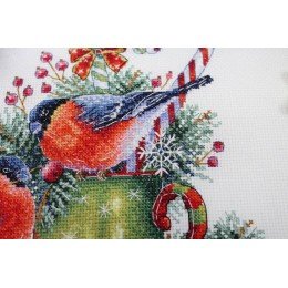 MP Studia - Winter talking