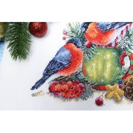 MP Studia - Winter talking