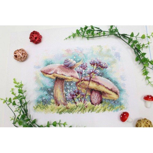 MP Studia - In the summer forest