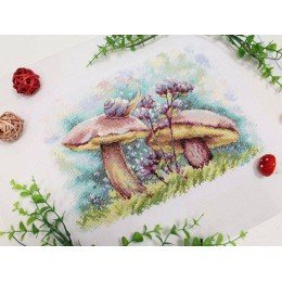 MP Studia - In the summer forest