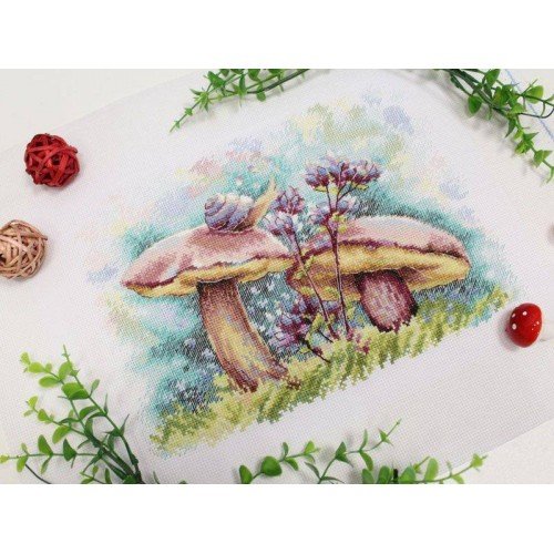 MP Studia - In the summer forest