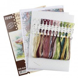 MP Studia - In the summer forest