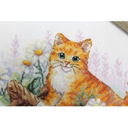 MP Studia - Red cat gardener